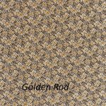 Golden Rod pioneer skirt
